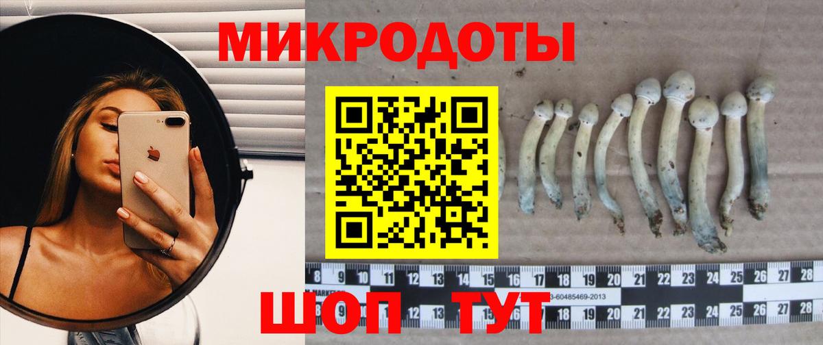 Псилоцибиновые грибы Cubensis  Псилоцибиновые грибы GOLDEN TEACHER  Вход с VPN  Дзержинск 